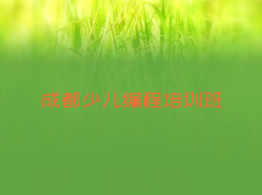 成都少儿编程培训班