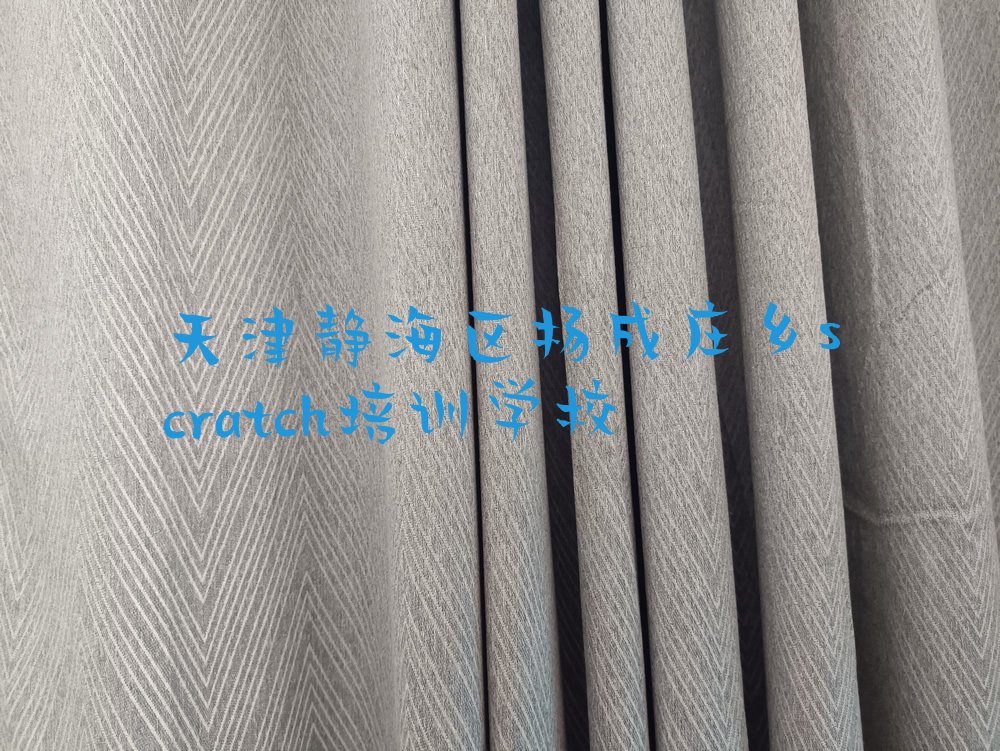 天津静海区杨成庄乡scratch培训学校