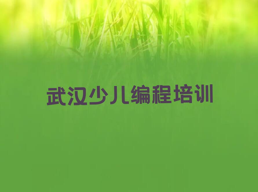 武汉江汉区少儿编程Python培训学校