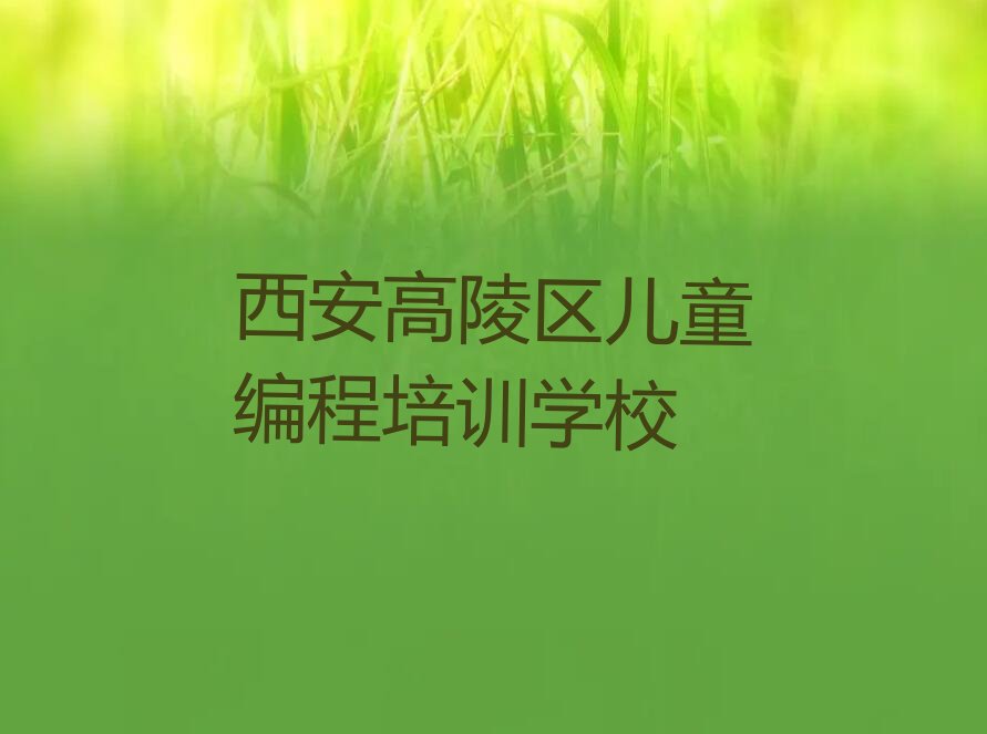 西安高陵区儿童编程培训学校