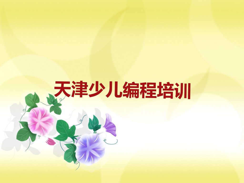 天津宁河区少儿编程培训