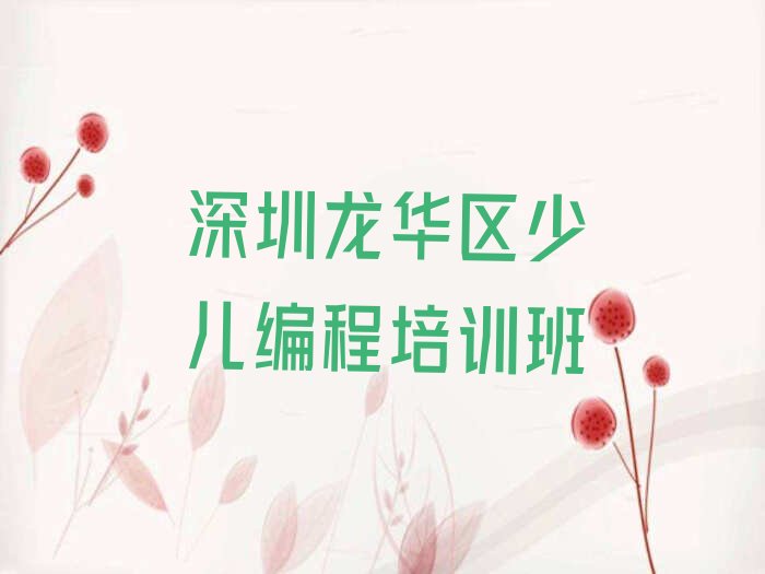 深圳龙华区少儿编程培训班