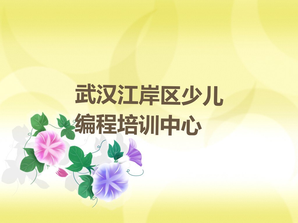 十大武汉江岸区青少年编程报培训班怎么样好吗排行榜