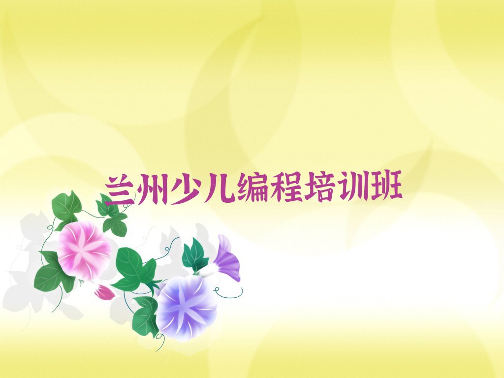兰州少儿编程培训班