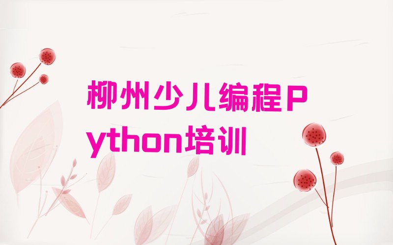 柳州少儿编程培训班