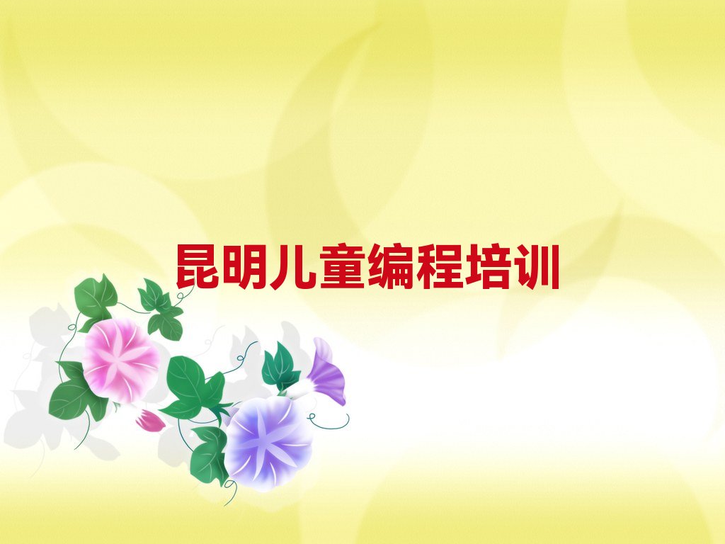 昆明少儿编程培训班