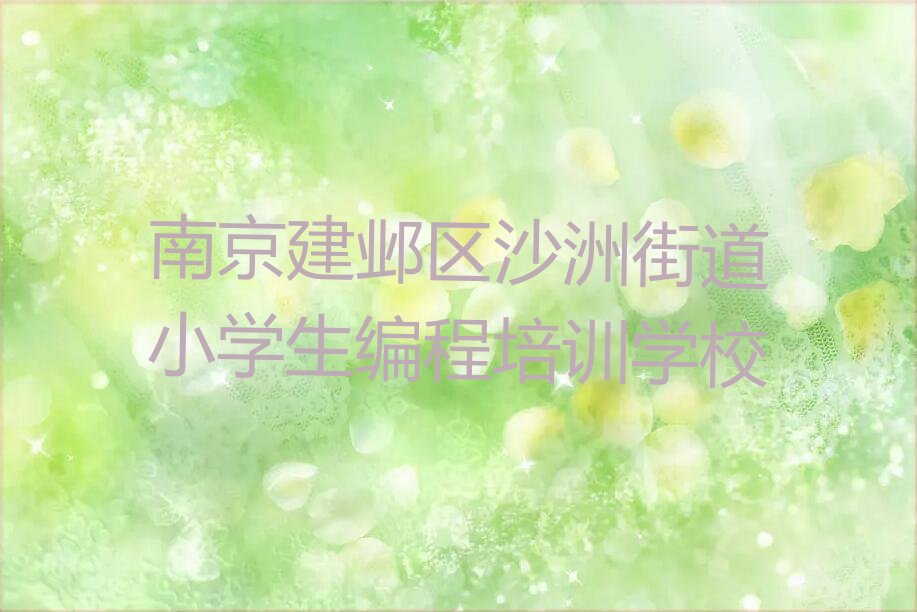 南京建邺区沙洲街道小学生编程培训学校