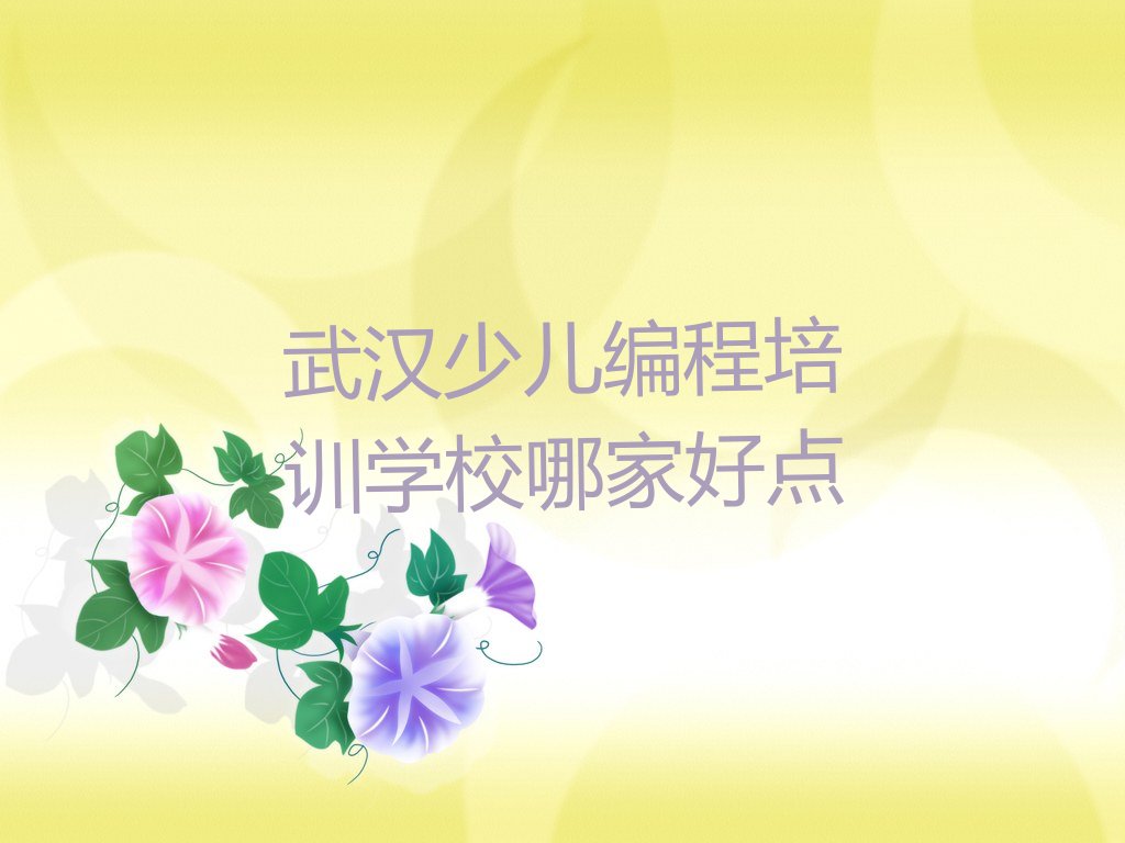 武汉少儿编程培训