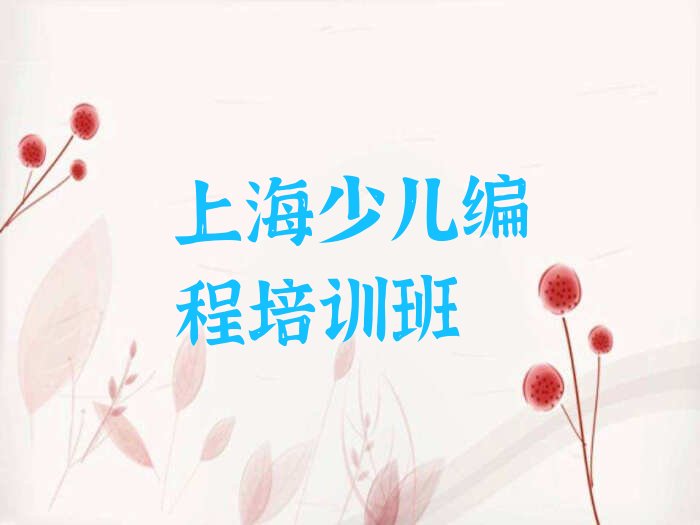 上海少儿编程培训班