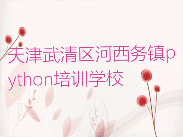 天津武清区河西务镇python培训学校