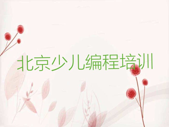 北京少儿编程培训班