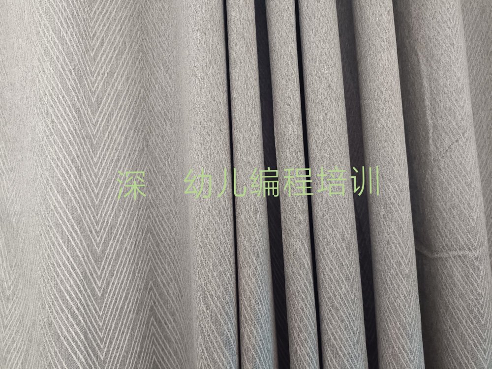 深圳罗湖区翠竹街道幼儿编程培训学校