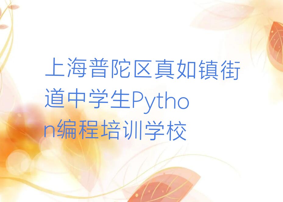 十大上海普陀区哪里的中学生Python编程培训学校好排行榜