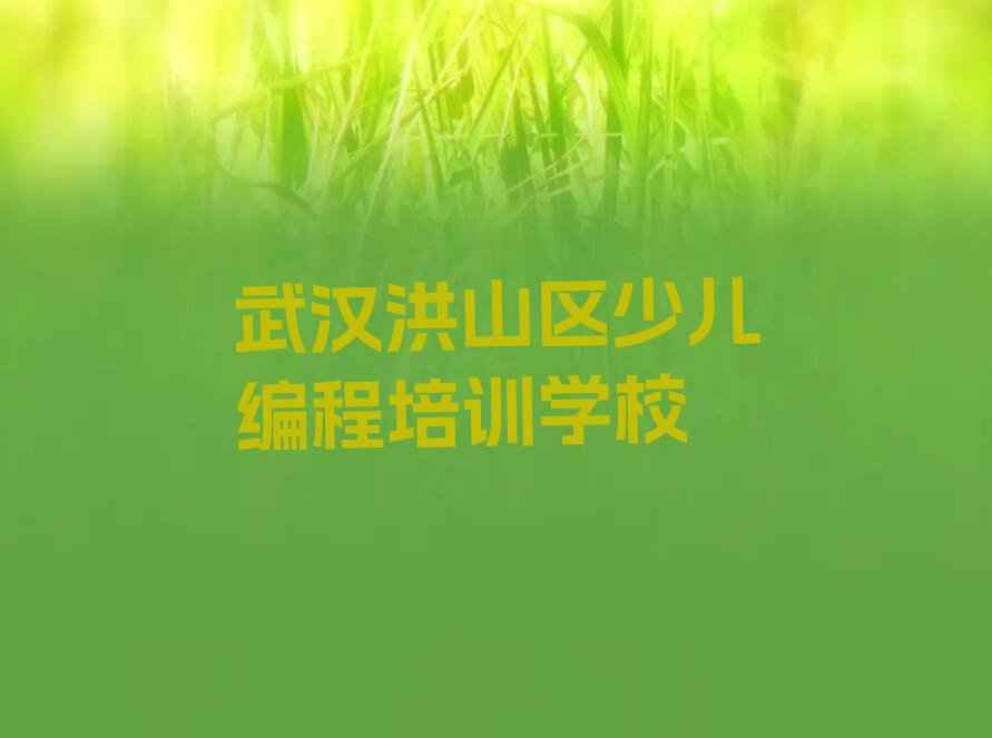 十大武汉洪山区儿童编程培训学校费用贵吗排行榜