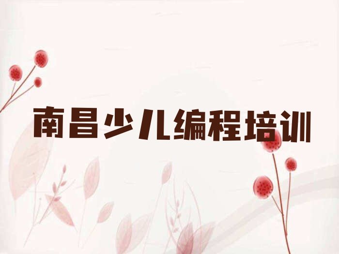 南昌东湖区少儿编程培训中心