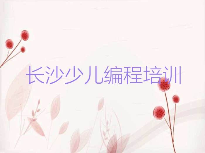 长沙天心区少儿编程培训中心
