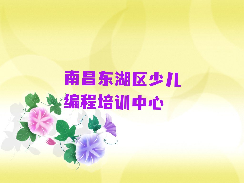 南昌东湖区少儿编程培训中心