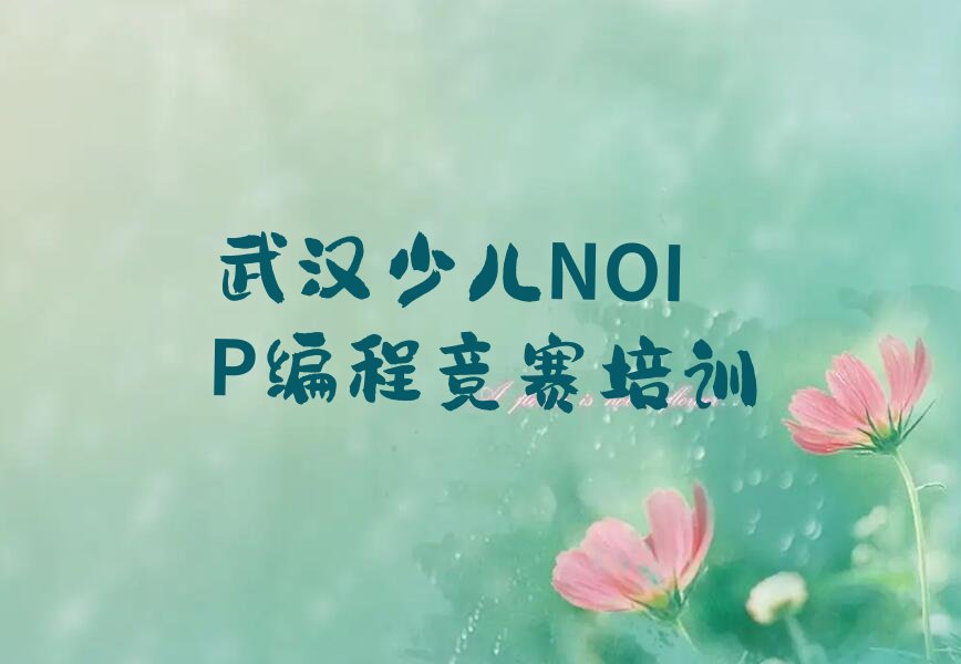 武汉江夏区金水街道少儿NOIP编程竞赛培训学校