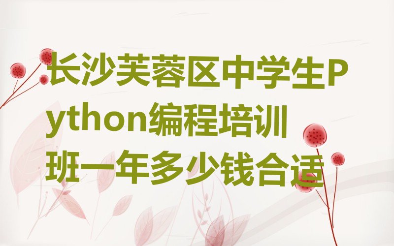 十大长沙芙蓉区中学生Python编程培训班一年多少钱合适排行榜