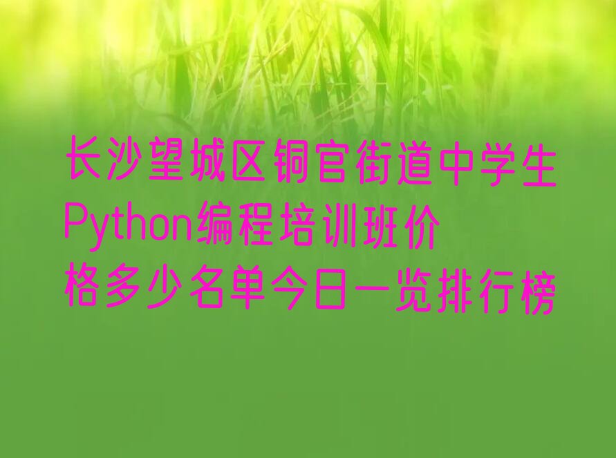 长沙望城区少儿编程培训