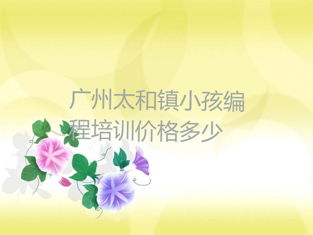 广州白云区少儿编程培训中心