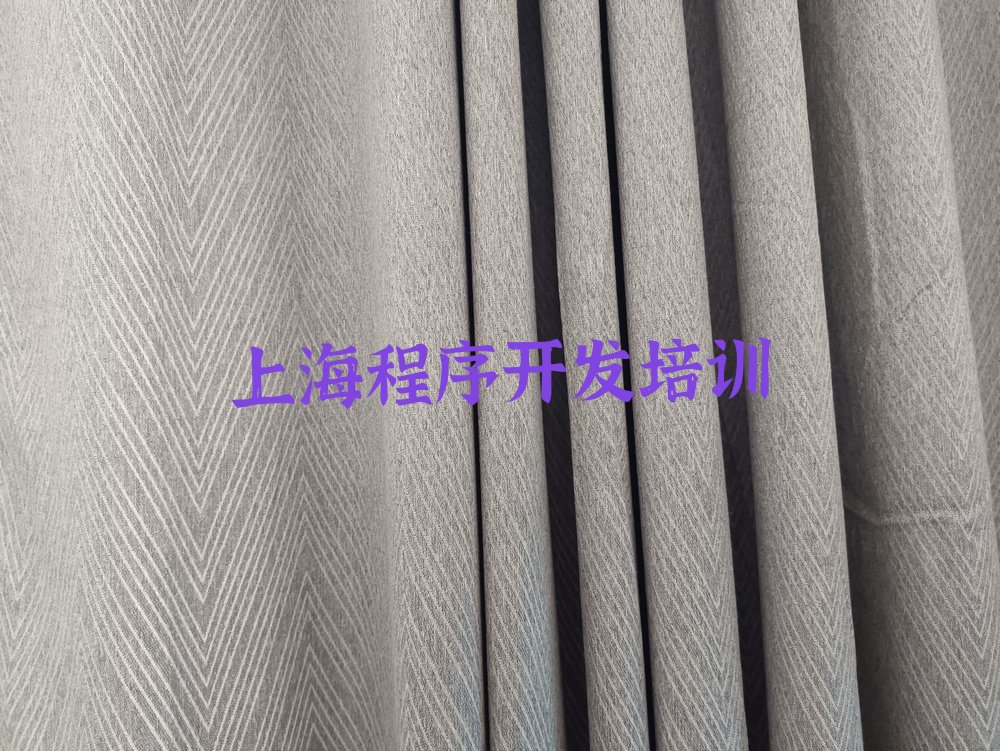 上海普陀区真如镇街道中学生Python编程培训学校
