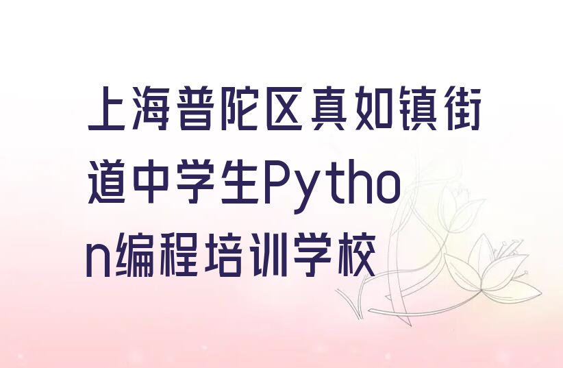 上海普陀区真如镇街道中学生Python编程培训学校