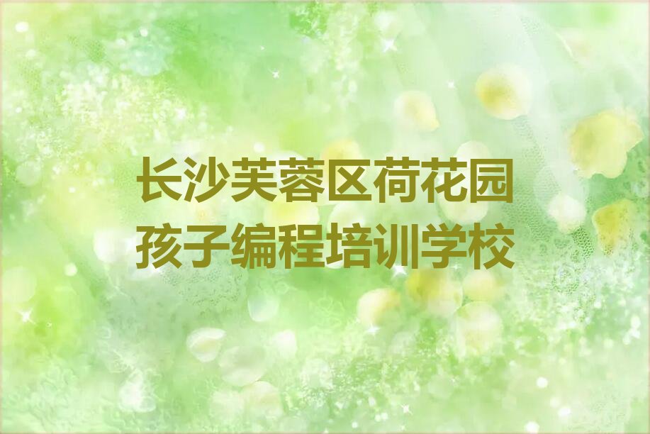 长沙芙蓉区荷花园孩子编程培训学校