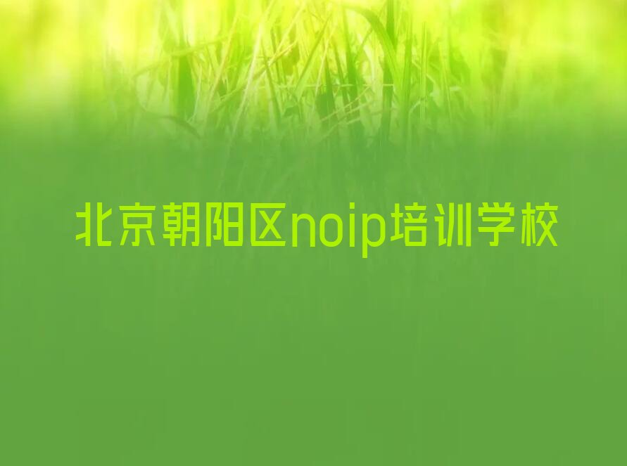 北京朝阳区noip培训学校