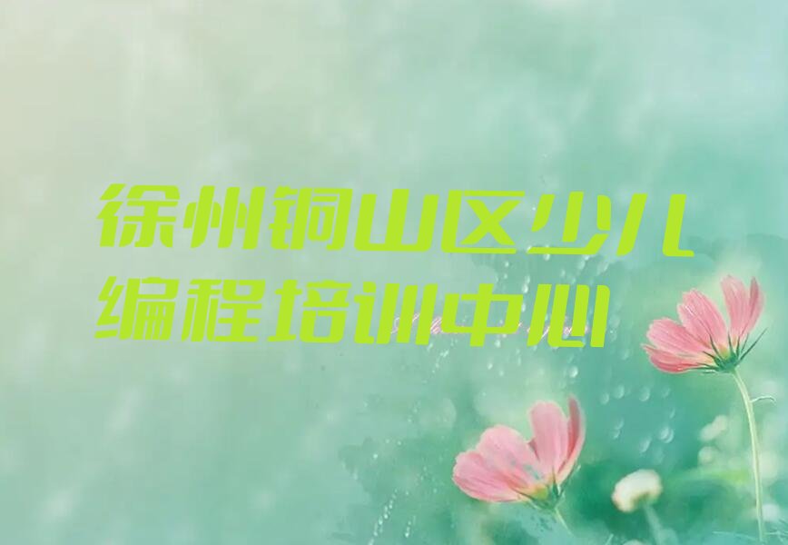 徐州铜山区少儿编程培训中心
