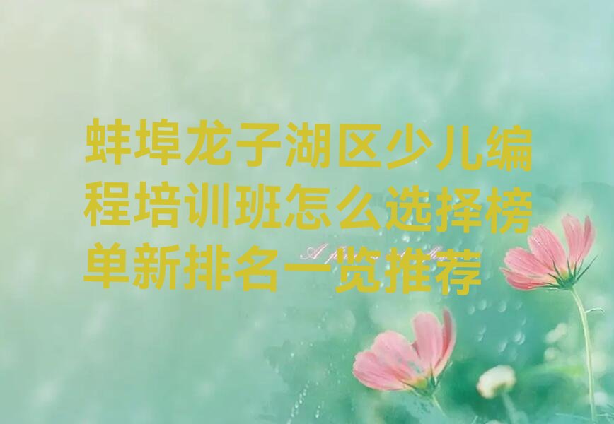 蚌埠少儿编程培训学校
