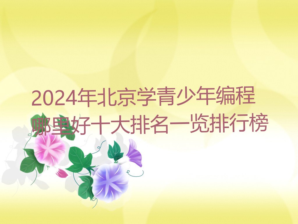北京石景山区金顶街青少年编程培训学校