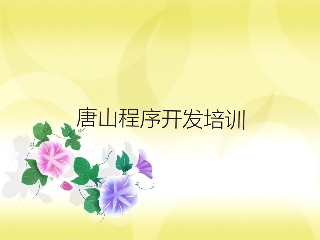 唐山丰润区沙流河镇中学生Python编程培训学校