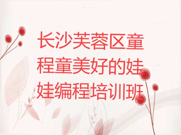 长沙芙蓉区娃娃编程培训学校