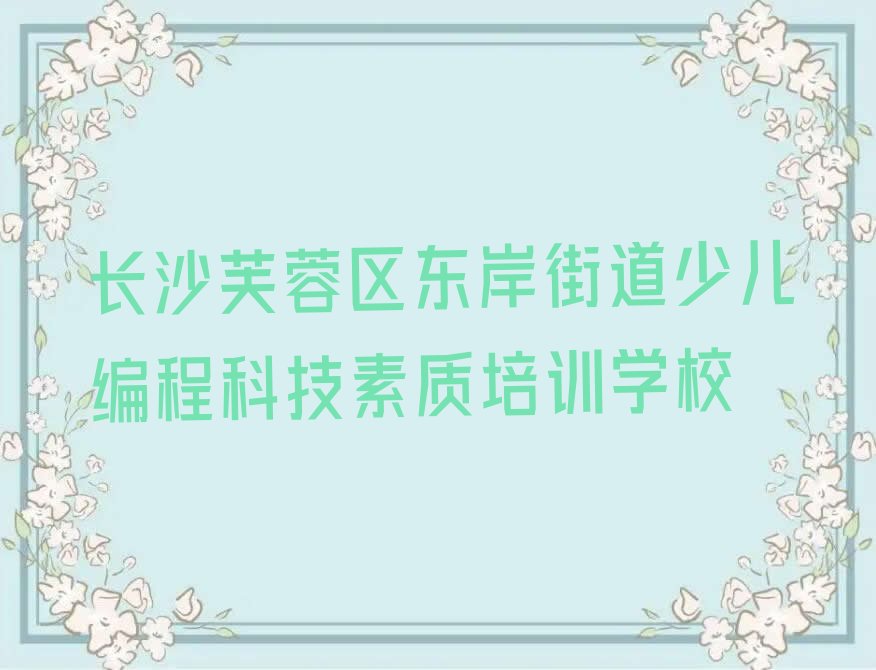 长沙芙蓉区东岸街道少儿编程科技素质培训学校