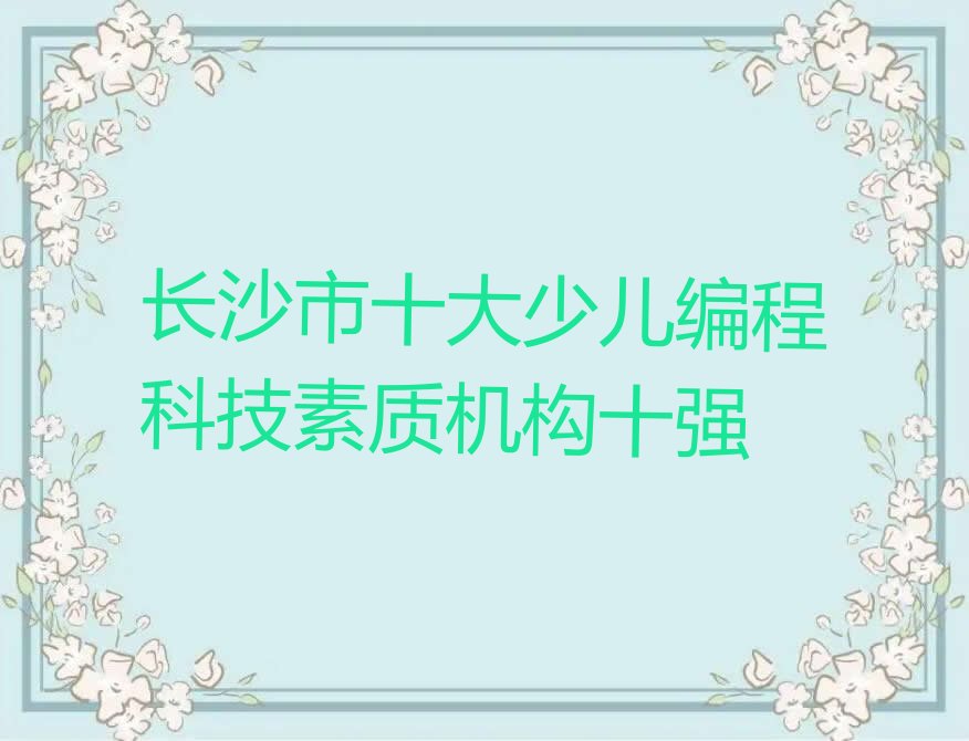 少儿编程科技素质
