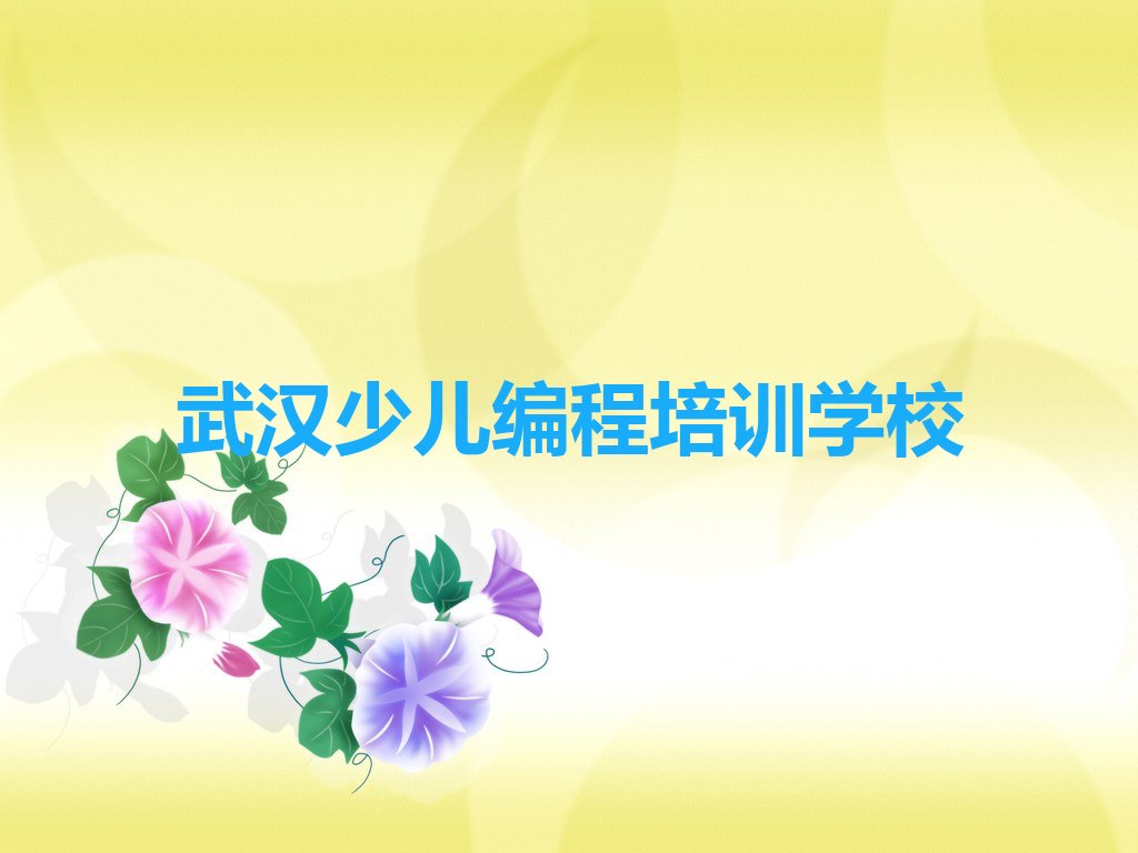 武汉少儿编程培训学校