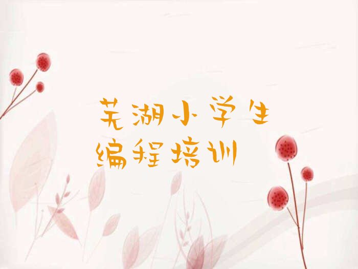 十大2024年芜湖鸠江区小学生编程培训班报名在哪儿上课推荐今日公布一览表排行榜
