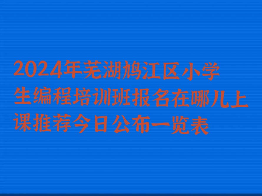 芜湖鸠江区少儿编程培训学校