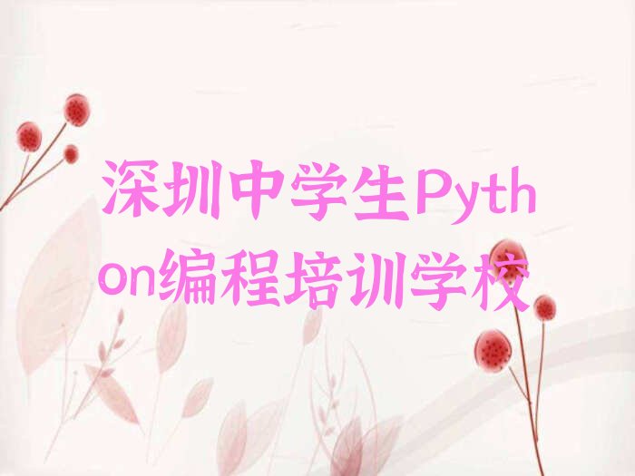 深圳中学生Python编程培训学校