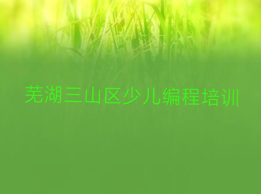 十大芜湖排名前十的小学生编程培训班排行榜