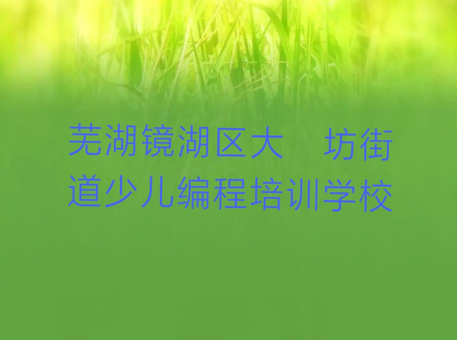 芜湖镜湖区大砻坊街道少儿编程培训学校