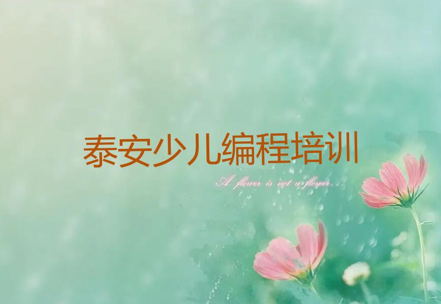 十大排名前几的泰安青少年无人机大赛培训机构排行榜