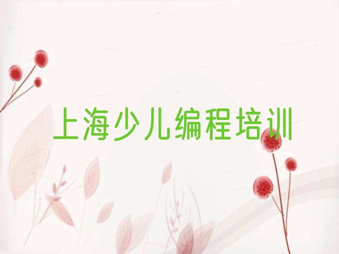 上海黄浦区少儿编程培训班