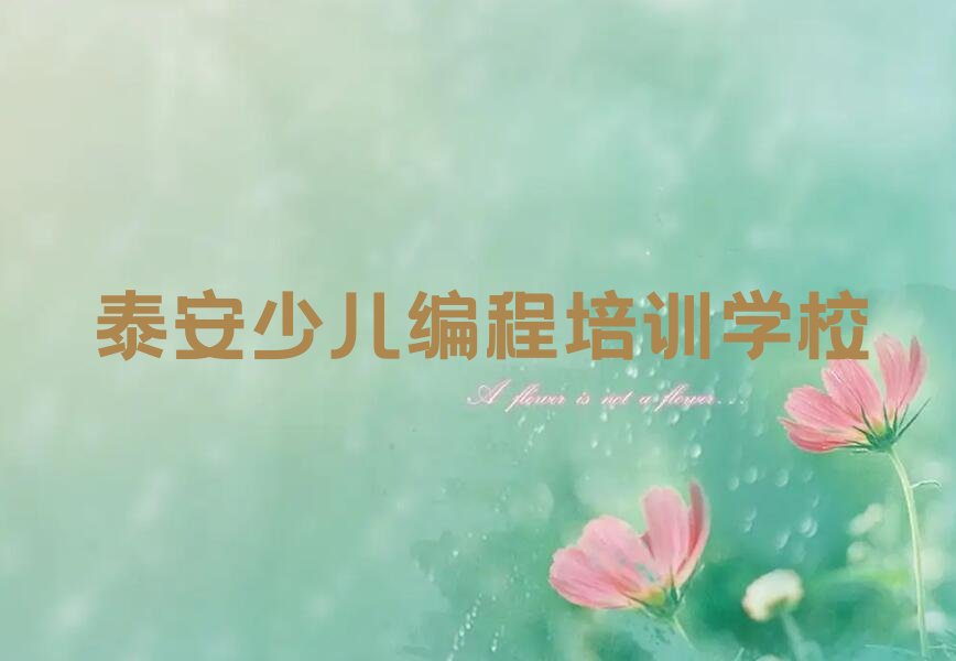 泰安少儿编程培训学校