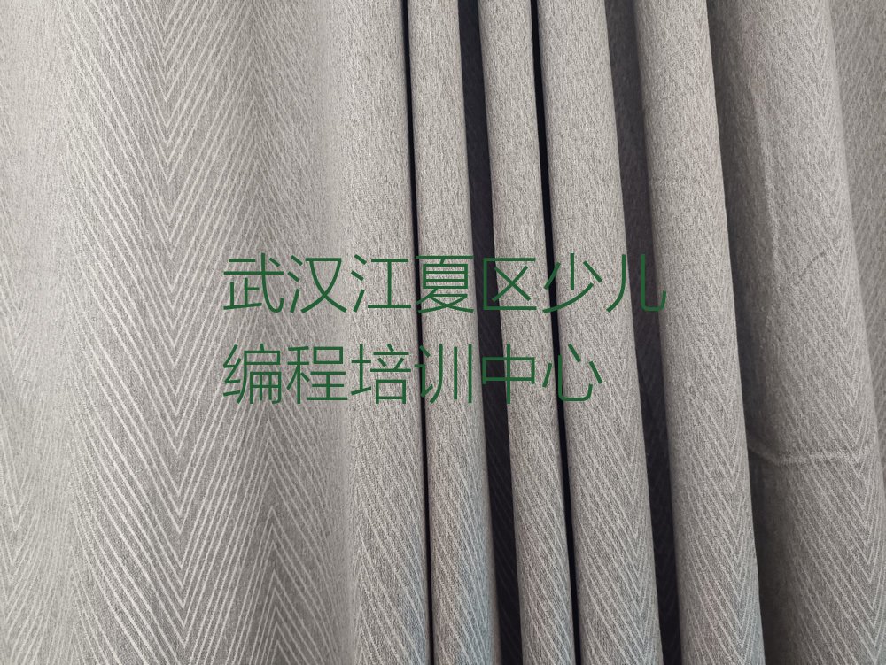 武汉江夏区少儿编程培训中心