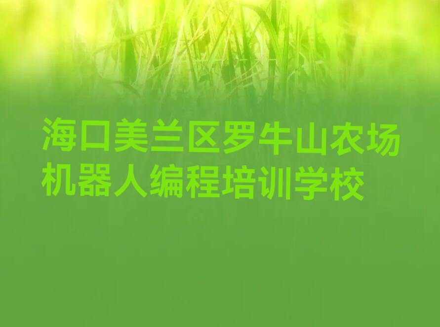 海口美兰区罗牛山农场机器人编程培训学校
