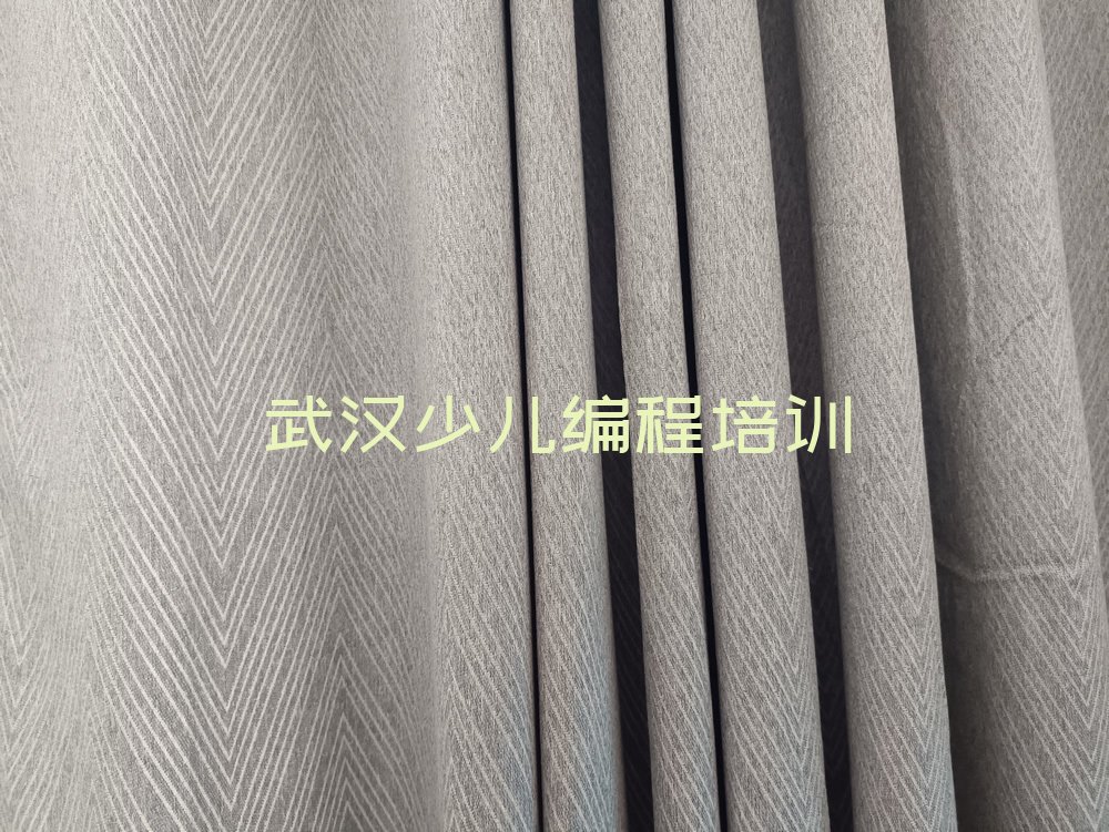十大武汉江汉区少儿编程Python热门培训机构排行榜