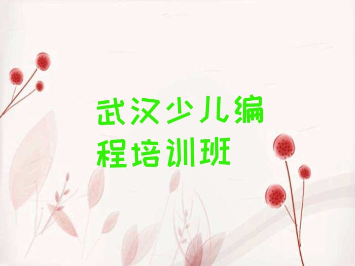 十大武汉台北街道童程童美排名前十的权威孩子编程机构推荐排行榜