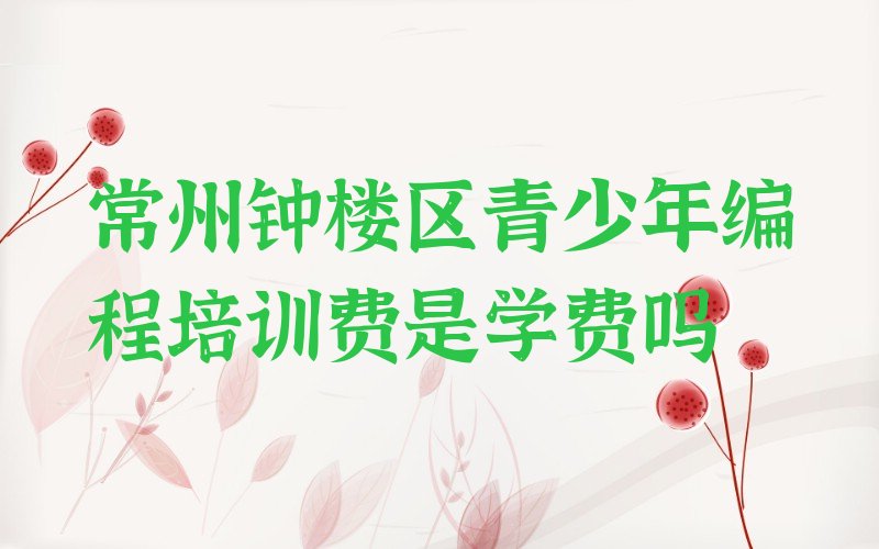 常州钟楼区少儿编程培训中心